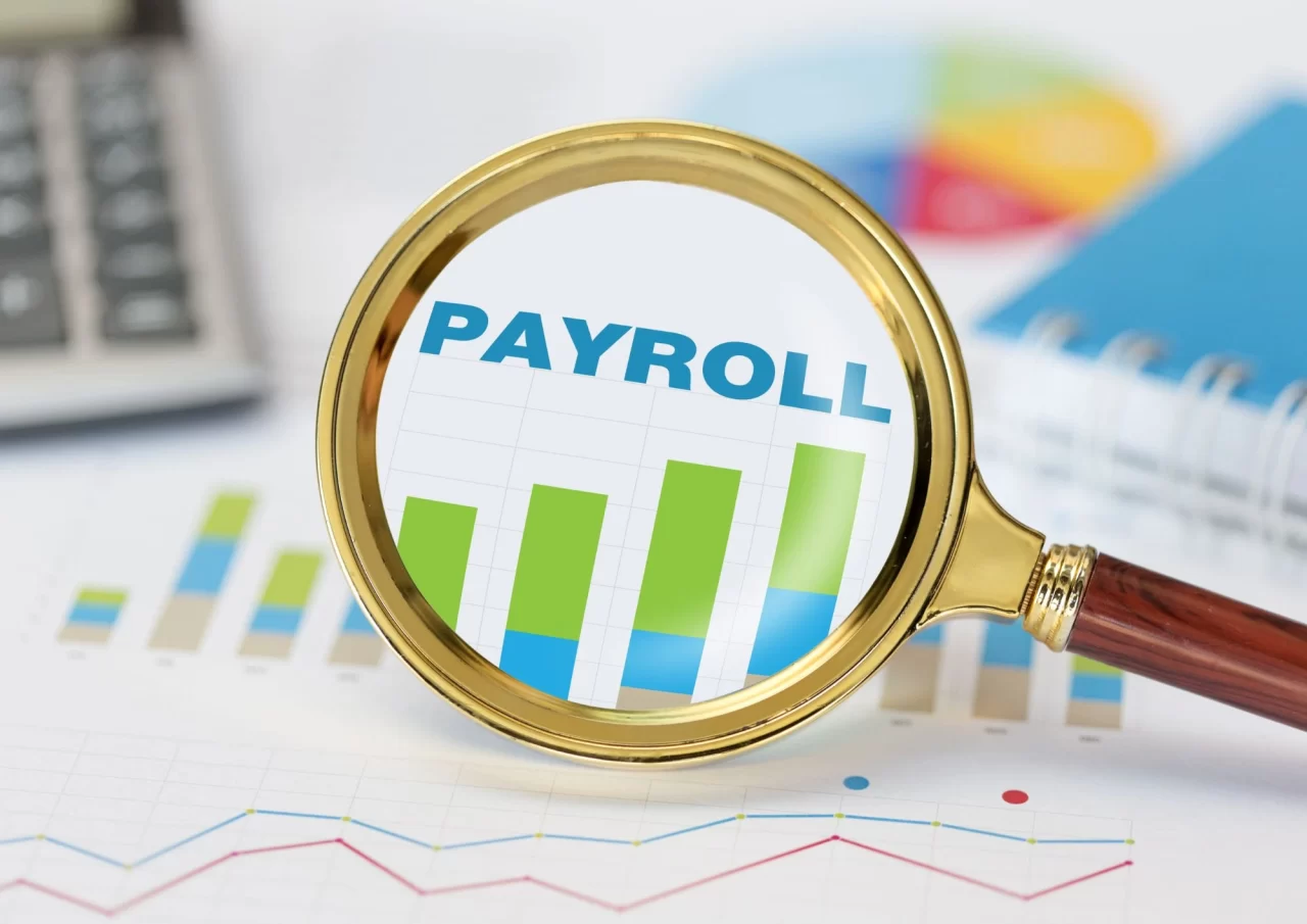 Avoid Payroll Mistakes with Professionals