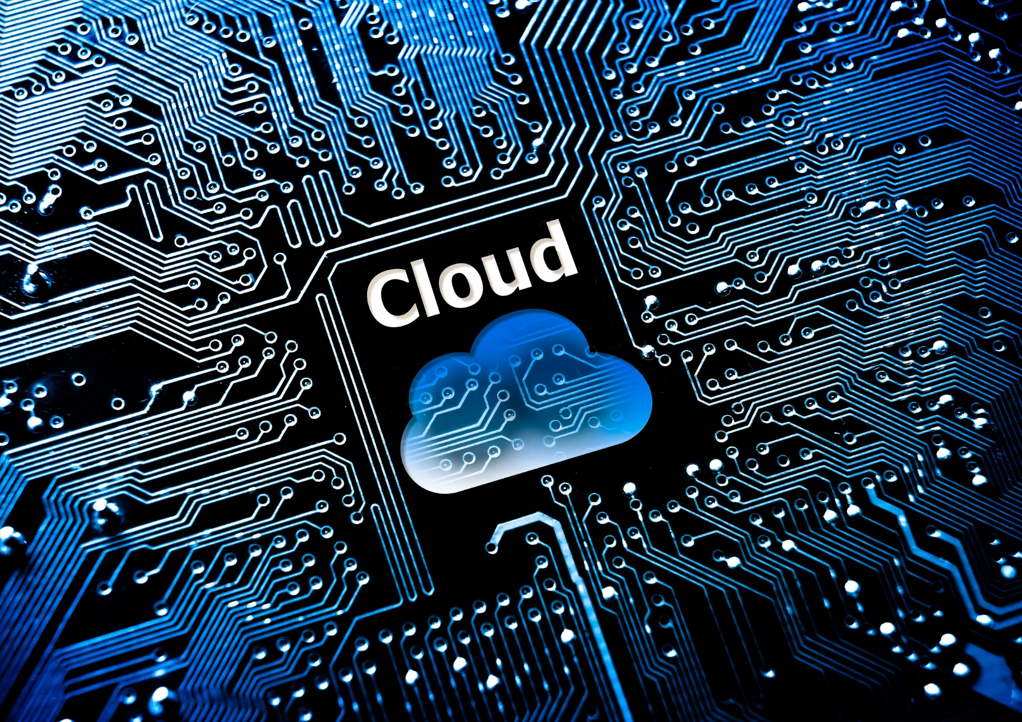 Scalable Secure Cloud Hosting Services