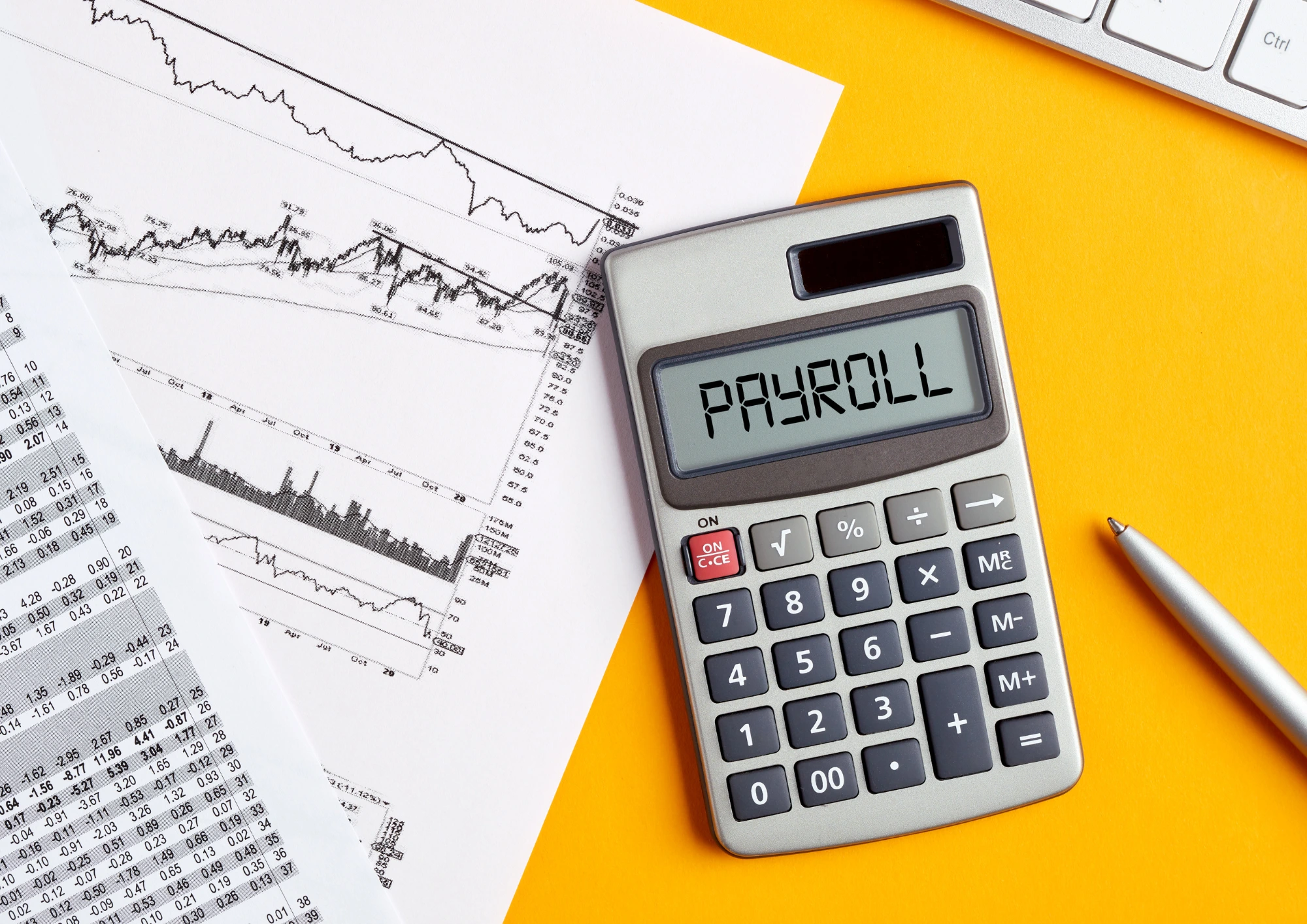 Simplify Business Operations with Payroll